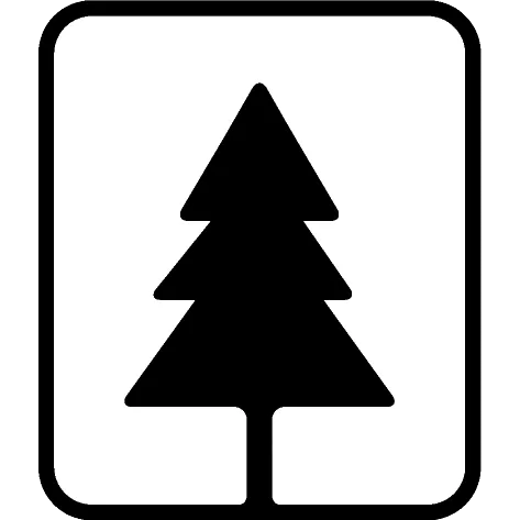 jehličnatá dřevina